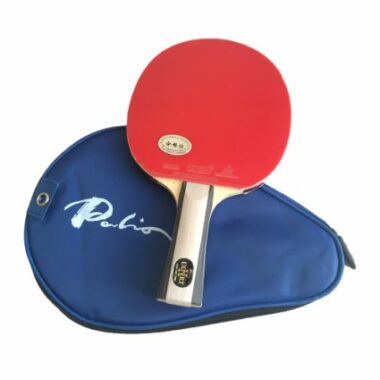 Review: Palio Expert 2 Table Tennis Bat