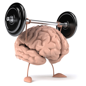 brain-30