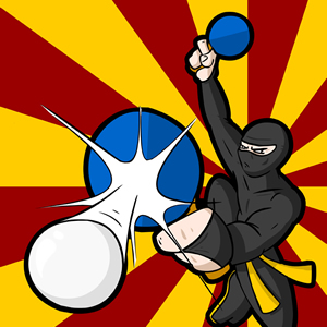 tt-ninja-30